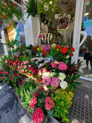 FLORISTERÍA BUENOS AIRES.