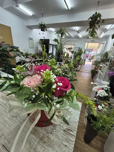 Jungla Floral - Floristería en Valdemoro
