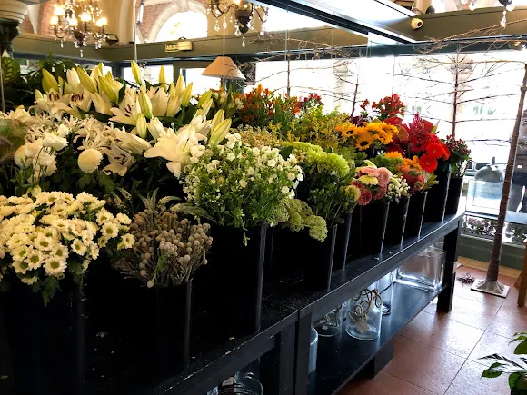 Floristería Verdecora La Moraleja - Alcobendas
