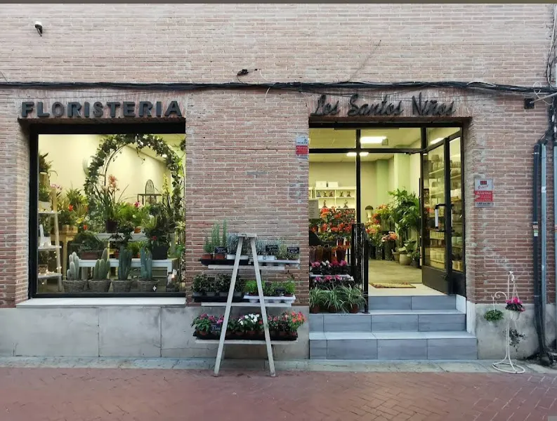 Floristería los santos niños - Alcalá de Henares