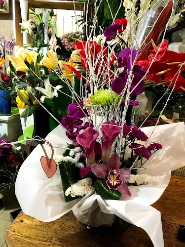 Flores alcala - Meco