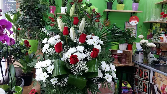 Floristería y Jardinería Hayuco