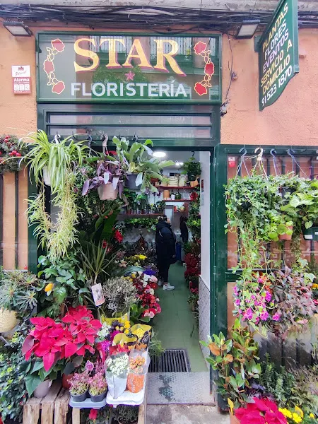 Floristería Star