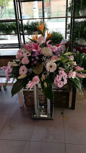 Floristeria Macaflor