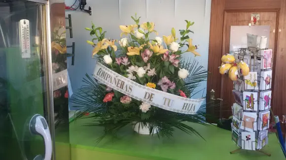 FLORISTERIA AMAZONIA - Leganés