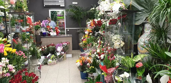 Flores y Plantas Menchu
