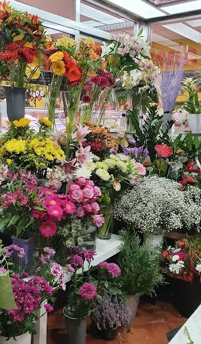 Flor de Lyc