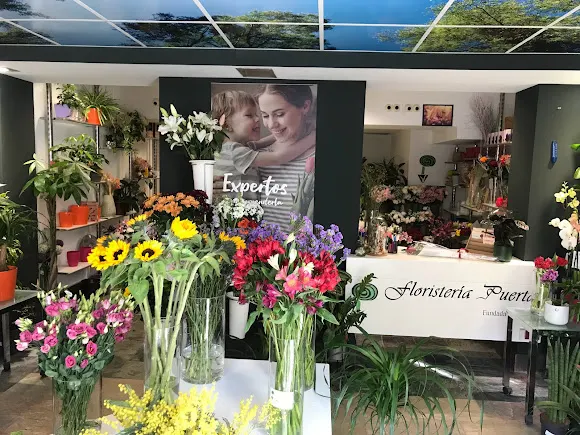 Floristería Puerta