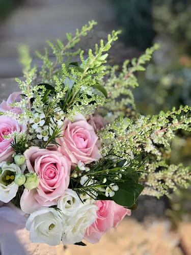 Aliaga Floristas