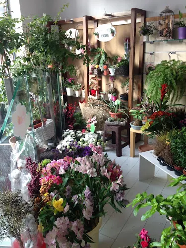 Floristeria La Buganvilla de Lupi