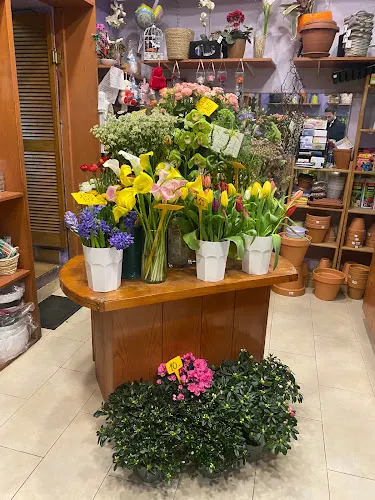 Andrés Flores y Plantas