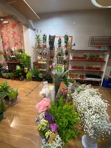 Floristería Jardín de la Rosa
