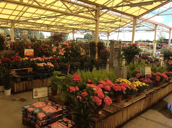 Fronda San Sebastián de los Reyes - Floristería en San Sebastián de los Reyes