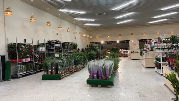 Verdecasa 2023 - Fuenlabrada