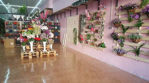 Shuang Zhi S.L. - Fuenlabrada