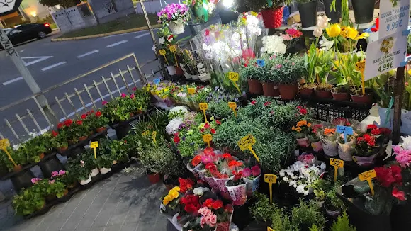 Floristería Amparo Ciudad De Los Angeles