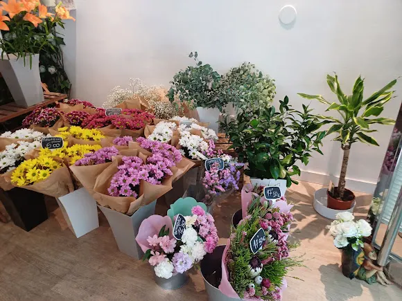 Floristería El Jardín de Ainé - Floristería en Madrid