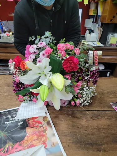 Flores Mariví