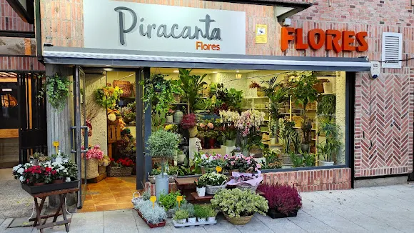 Piracanta Flores