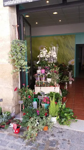 Floristería Santa Barbara - Torrelaguna
