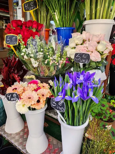Flores Nina