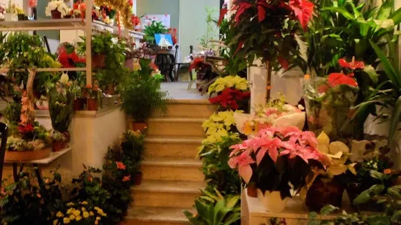 Floristería El Rincón - Floristería en Alora