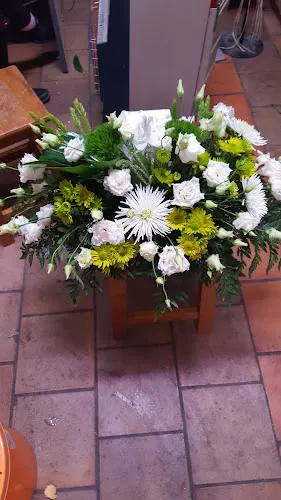 Floristería y Viveros la Buganvilla - Campillos