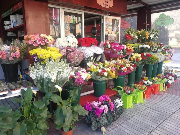 Flores Aquitania