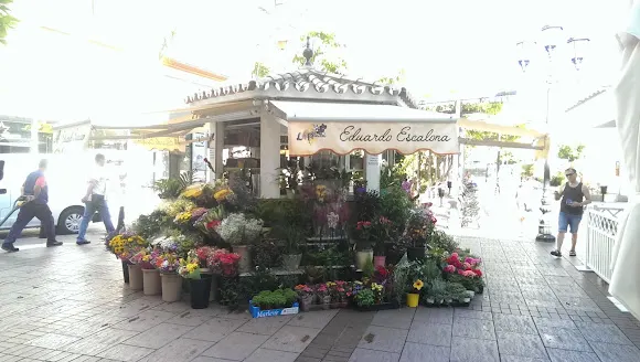 Floristería La plaza
