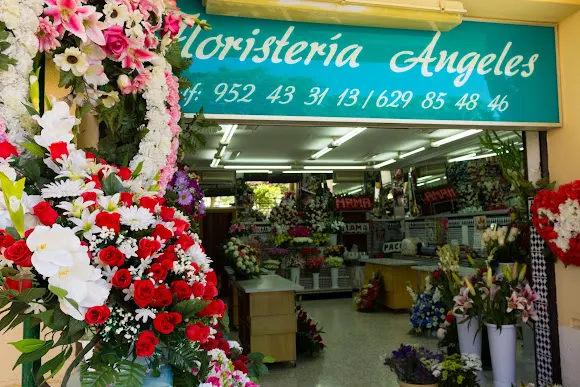 Floristería Ángeles - Málaga
