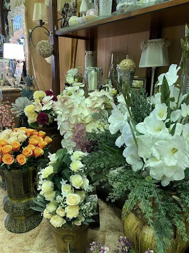 Floristería, Lámparas y Decoración INSAR