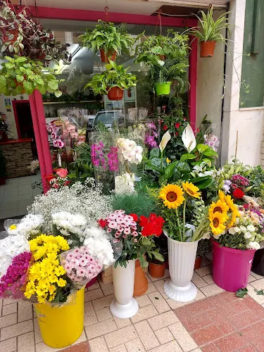 Floristeria Myriam