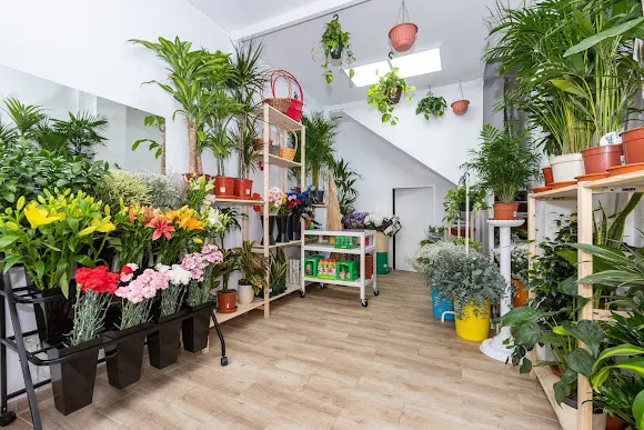 Floristería Emilia el perchel