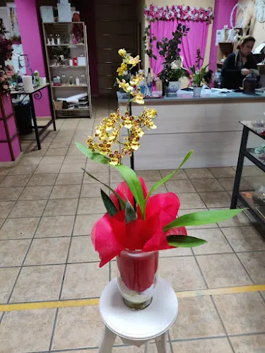 Floristeria Toñi