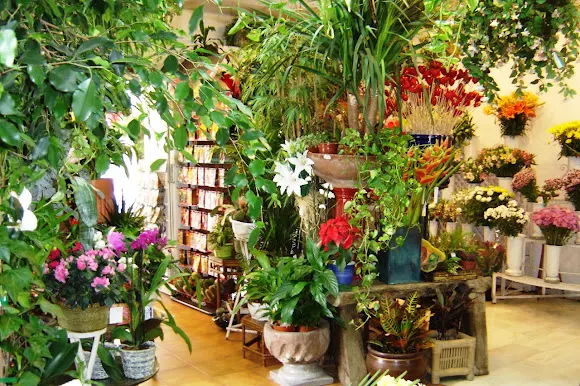Floristería Marín Floristas.