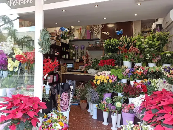 Floristería BENALFLOR BENALMÁDENA - Floristería en Benalmádena