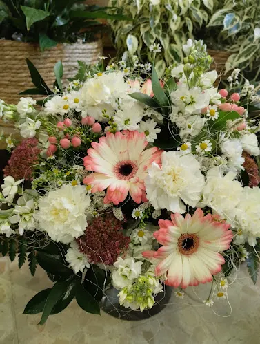 Floristería Tropicalia Atelier - Floristería en Málaga