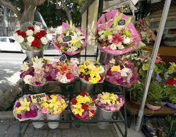 Floristería Andalucía