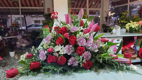 Hormigo Floristas