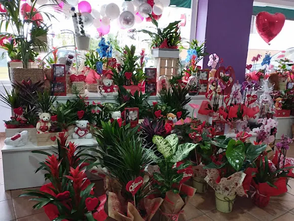 Floristeria Campano