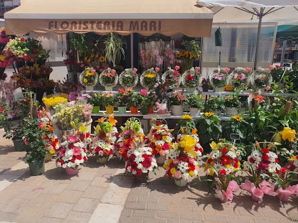 Floristeria Mari - Málaga