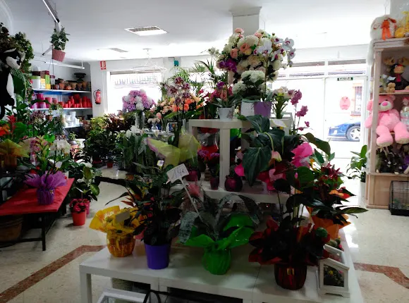 Floristería La Rosa - Ronda