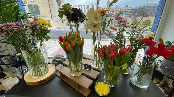 Cisneros Floristería - Málaga
