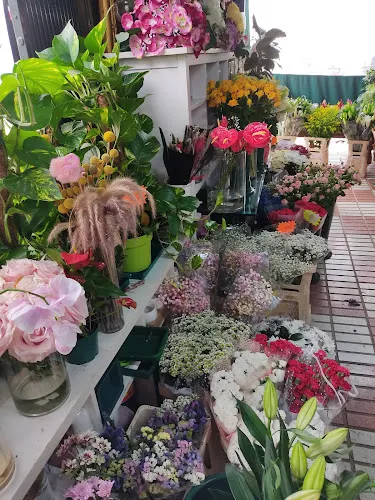Flores Tobi