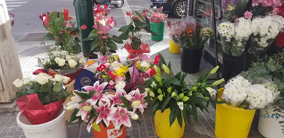 Floristería El Niño
