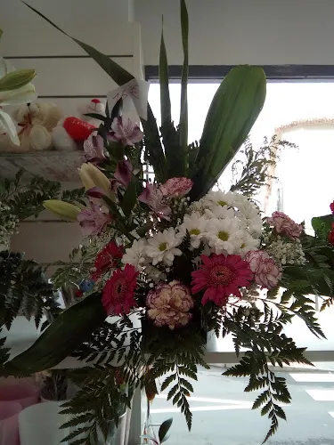 Flores J.M.