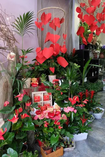 Celia Floristas