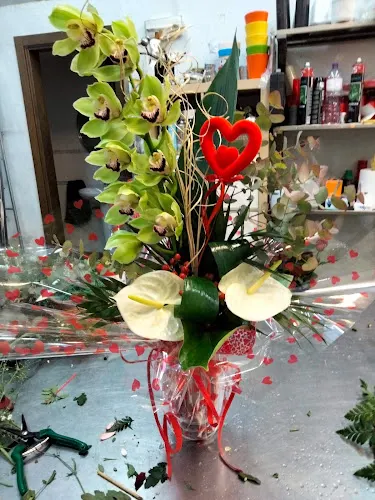 Floristería Vanessa