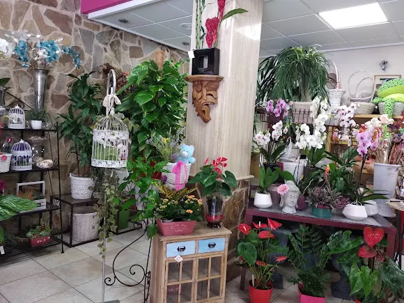 Floristería Emi Molina de Segura