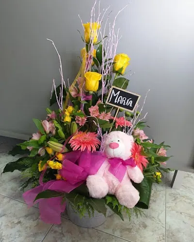 Finuki Floristas